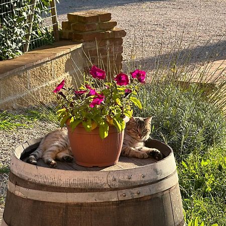 Fornace Del Conte Apartamento Abbadia di Montepulciano Exterior foto