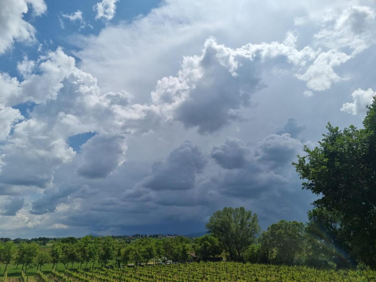 Fornace Del Conte Apartamento Abbadia di Montepulciano Exterior foto