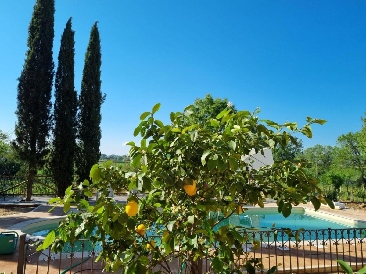 Fornace Del Conte Apartamento Abbadia di Montepulciano Exterior foto