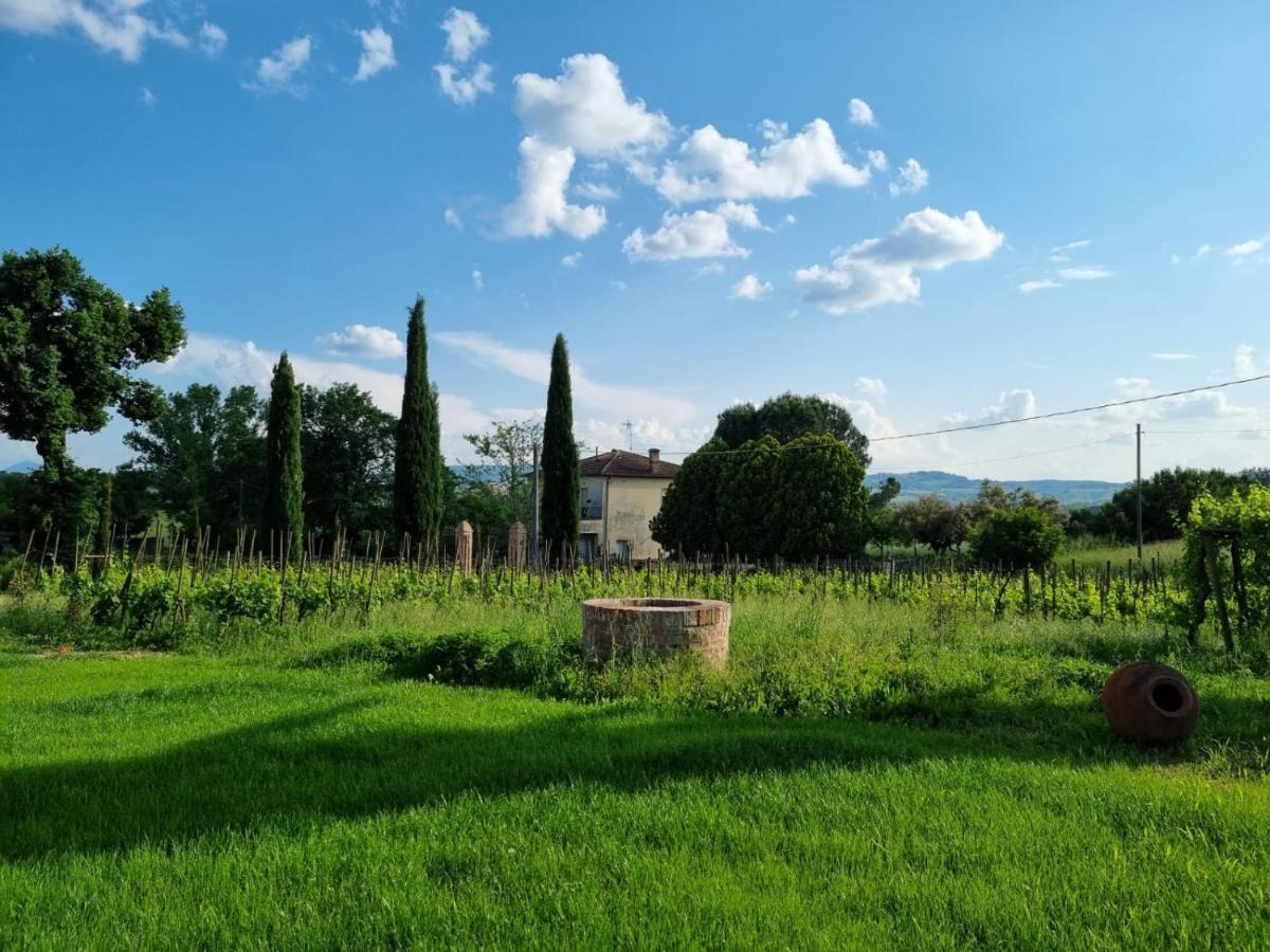 Fornace Del Conte Apartamento Abbadia di Montepulciano Exterior foto