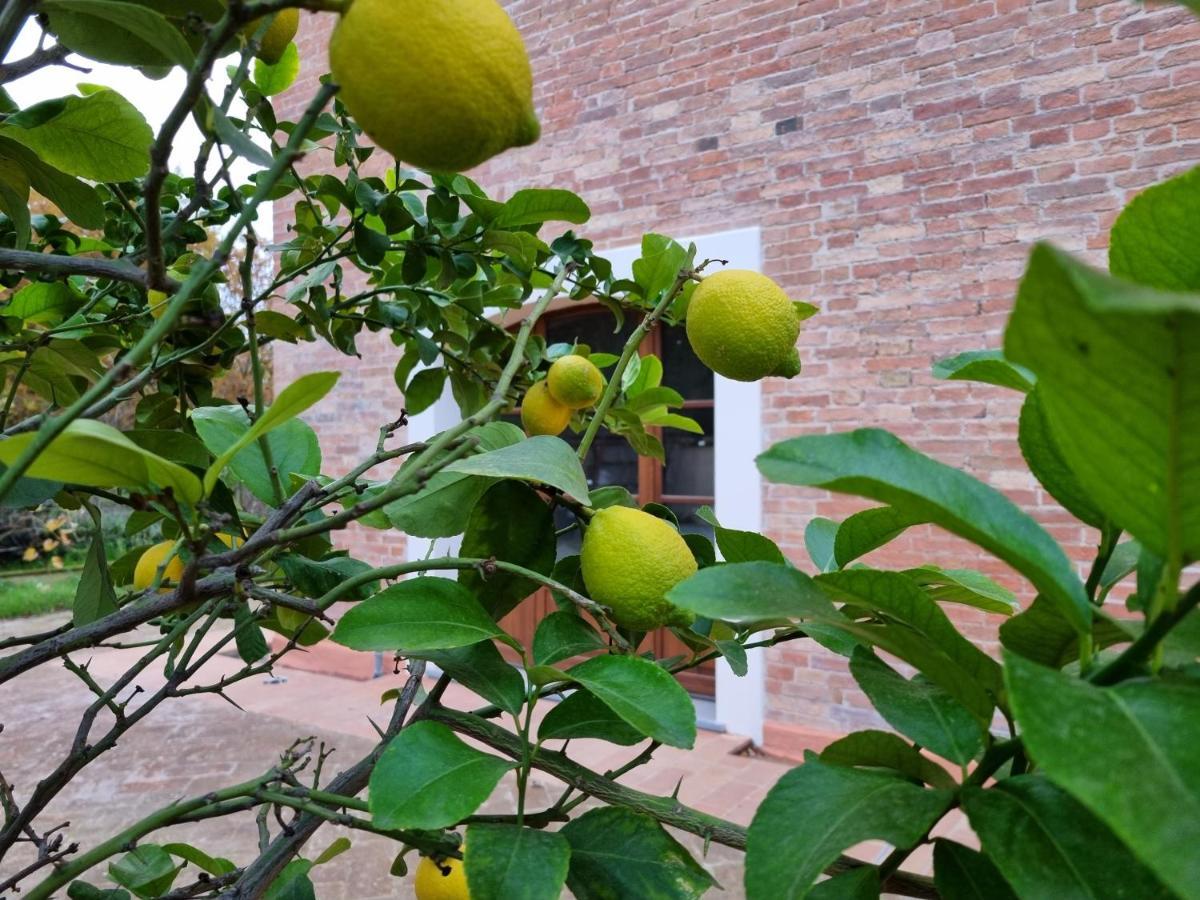 Fornace Del Conte Apartamento Abbadia di Montepulciano Exterior foto
