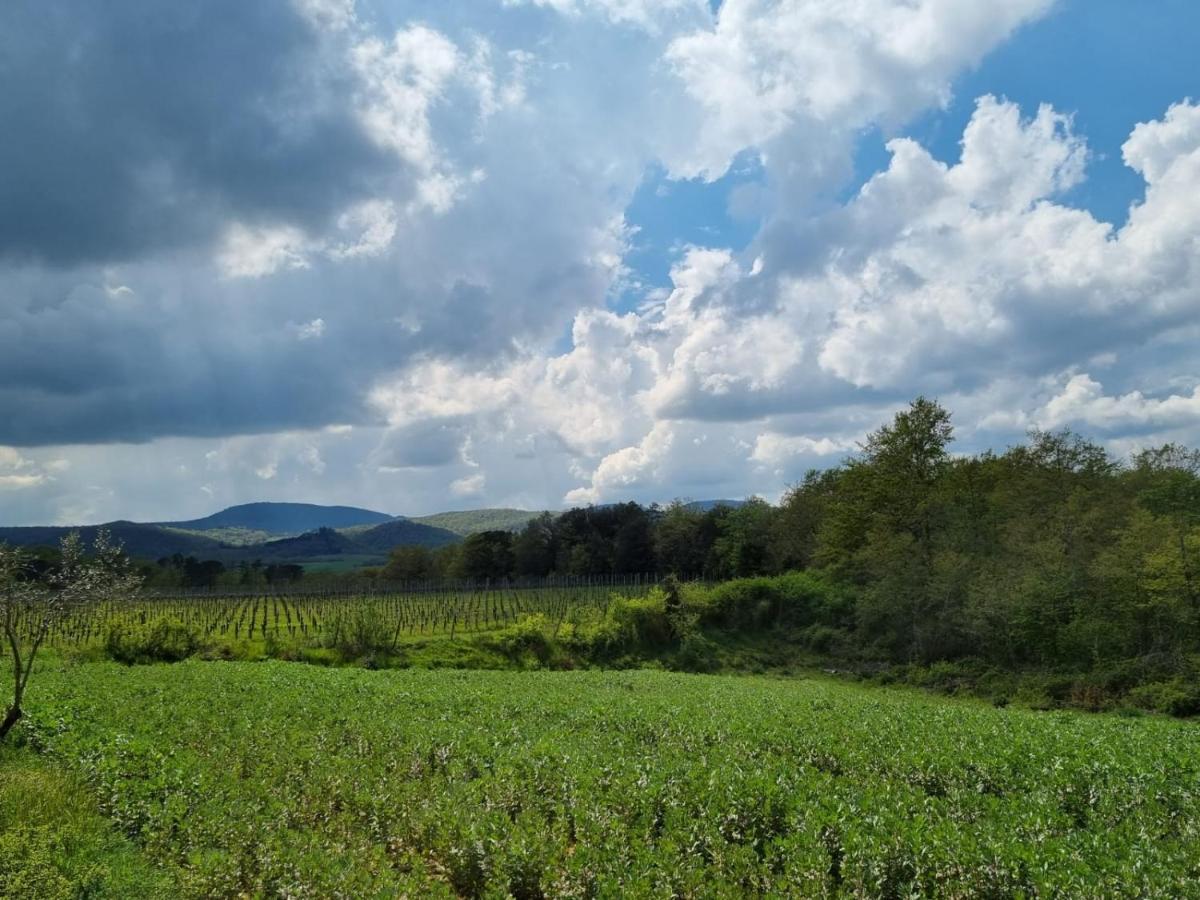 Fornace Del Conte Apartamento Abbadia di Montepulciano Exterior foto
