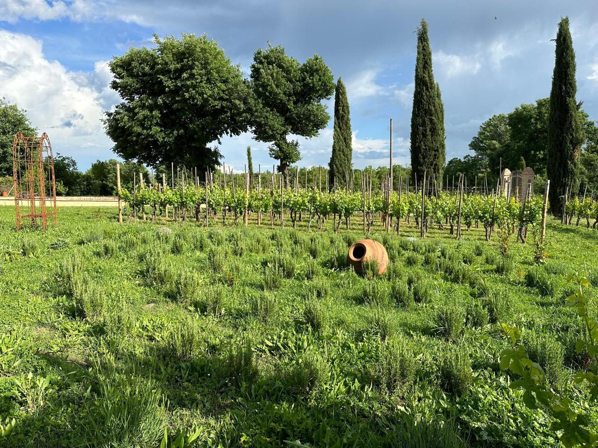 Fornace Del Conte Apartamento Abbadia di Montepulciano Exterior foto