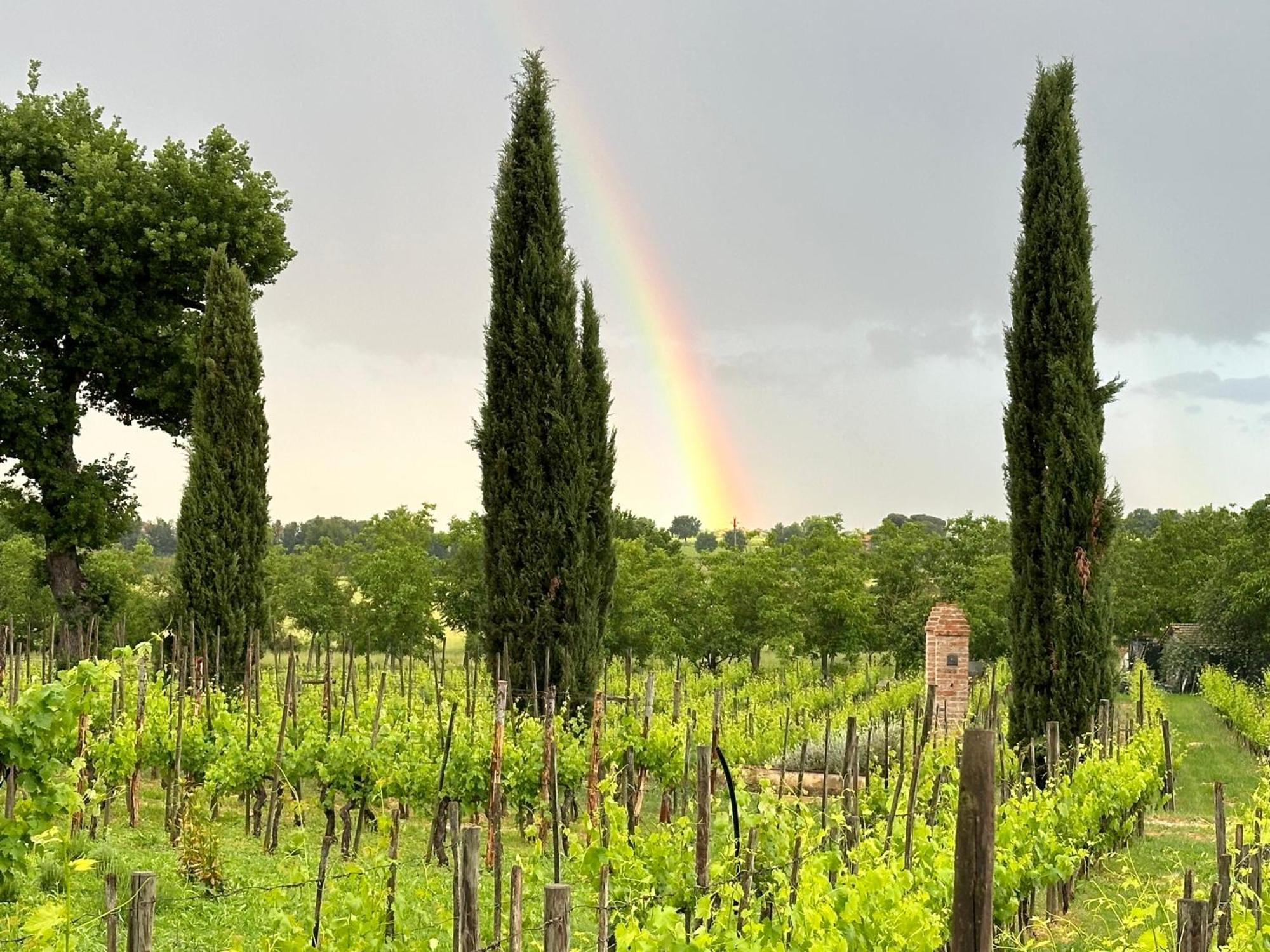 Fornace Del Conte Apartamento Abbadia di Montepulciano Exterior foto
