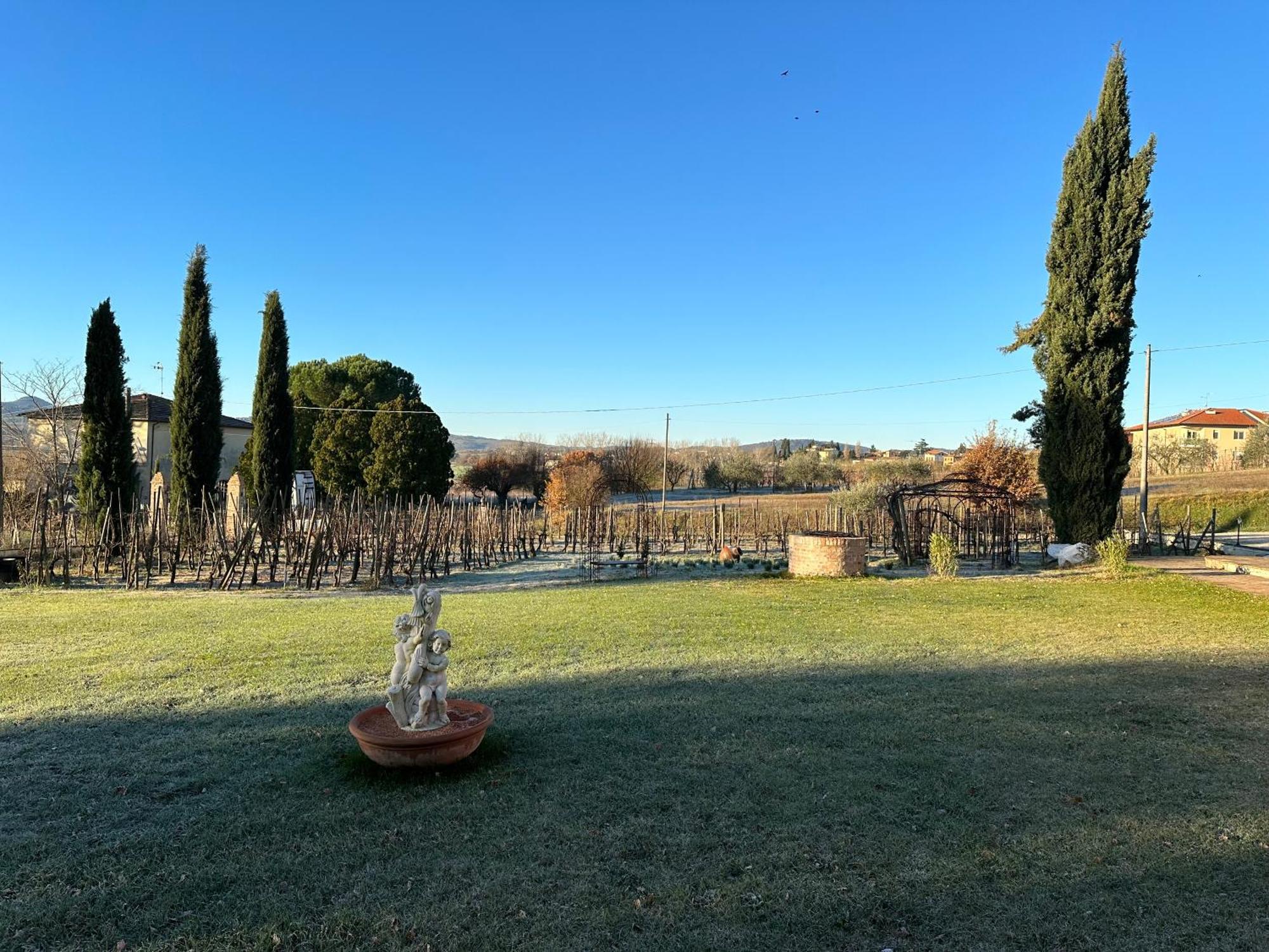 Fornace Del Conte Apartamento Abbadia di Montepulciano Exterior foto