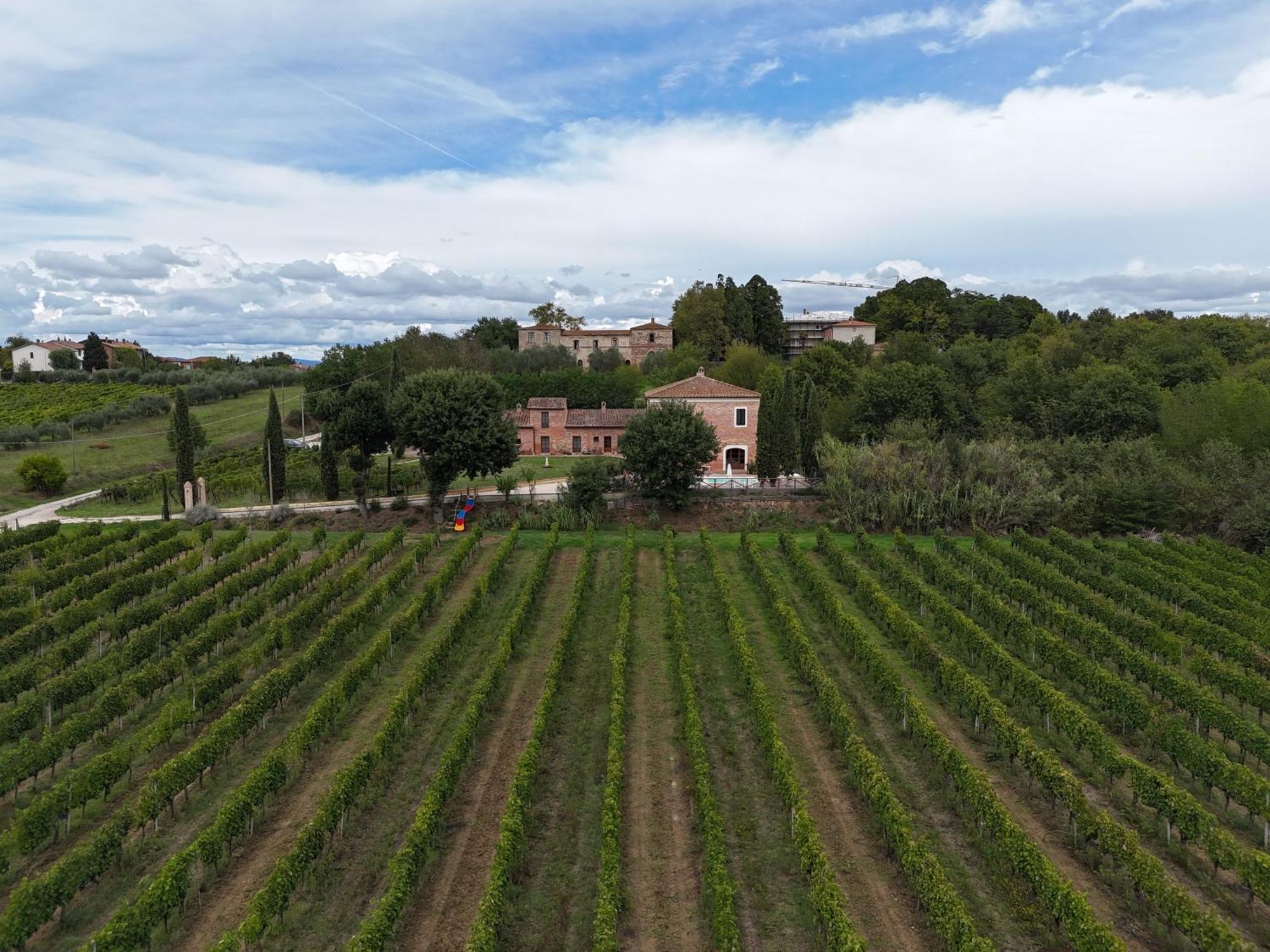 Fornace Del Conte Apartamento Abbadia di Montepulciano Exterior foto